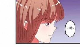 元芳动画爆料视频大全最新,精彩瞬间回顾与前瞻